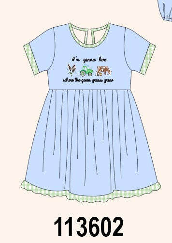 Blue Farm Embroidered Dress